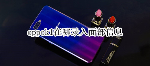 oppok1在哪录入面部信息