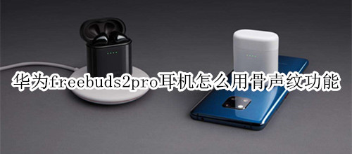 华为freebuds2pro耳机怎么用骨声纹功能