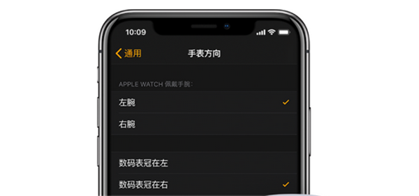 Apple Watch Series 3怎么更改佩戴手腕或数码表冠方向