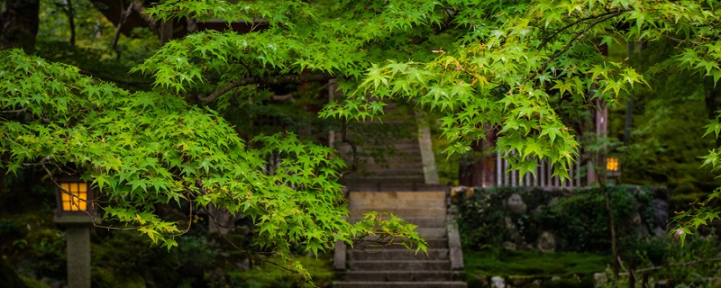 破山寺就是今江苏什么境内著名的佛寺禅院 破山寺就是今江苏什么境内著名的佛寺禅院哪里