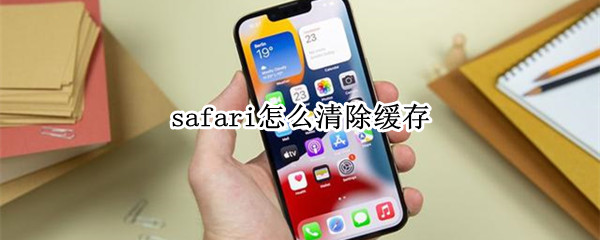 safari怎么清除缓存（苹果手机safari怎么清除缓存）