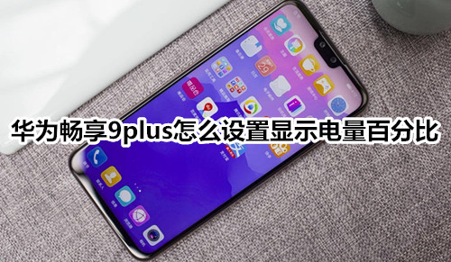 华为畅享9plus怎么设置显示电量百分比