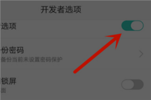 oppor17怎么关闭开发者模式