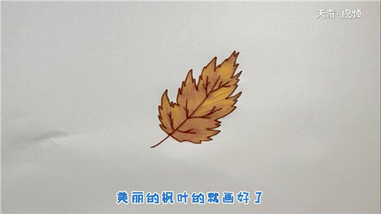 枫叶简笔画