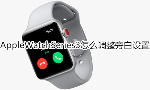 Apple Watch Series 3怎么调整旁白设置