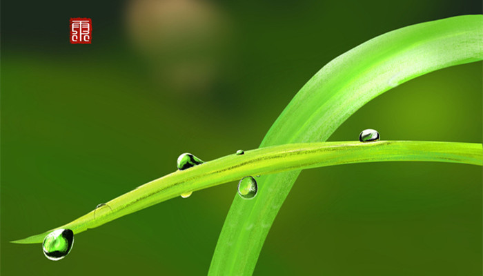 《春夜喜雨》古诗的意思《春夜喜雨》的诗意