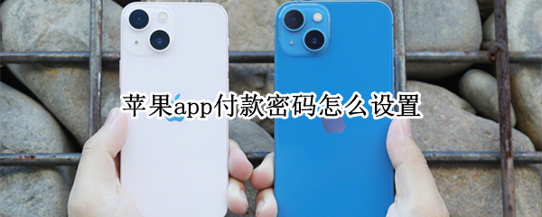 苹果app付款密码怎么设置 苹果app如何设置密码支付