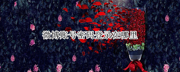 微博账号密码登录在哪里（微博密码怎么登录）
