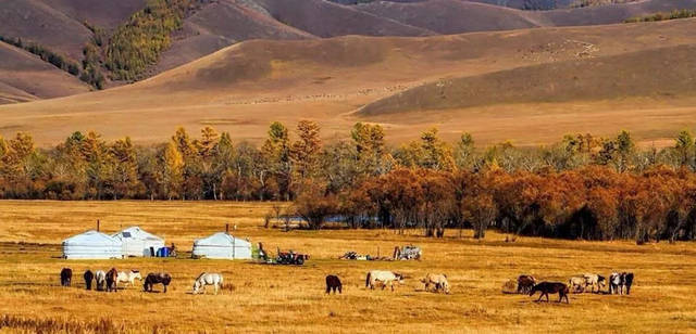 现在蒙古国还有汉人吗（蒙古人是汉人吗）