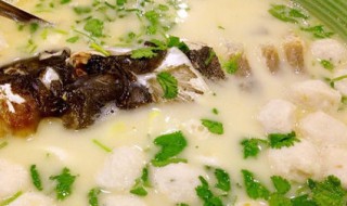 怎么做雄鱼头汤 鱼头汤 做法