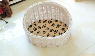 做狗窝的编织方法 自制狗窝方法