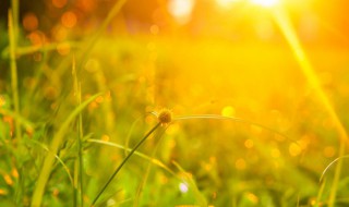 独一无二的人生语录 人生语录写给自己