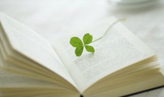 唯美走心的人生语录 精辟犀利的人生语录