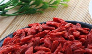 枸杞子不适合哪种人吃 不适合吃的人群