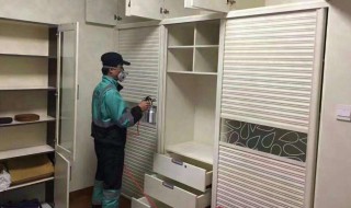 什么东西去除甲醛味最快 你要试一试