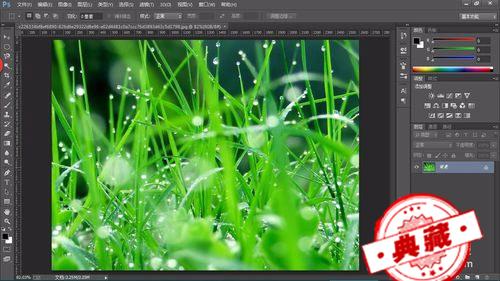 教你认识具有不同疗效的草药