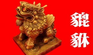 工厂摆放什么风水物最旺 老板办公室放什么最招财