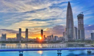 深圳的特产是什么 深圳有什么特产