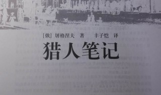 猎人笔记好词好句 猎人笔记好词好句摘抄