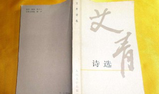 艾青诗选好句赏析 艾青诗选名篇摘抄赏析