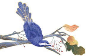 青鸟好词好句 青鸟的主要内容简介