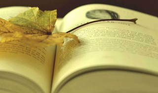 大林和小林好词好句 大林和小林好词好句列述