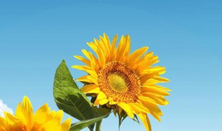 形容青春美好的句子 美好的说说