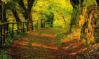 一晃半年过去了的心情说说 时间过得快的句子