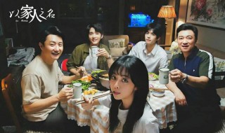 以家人之名的大哥演员是谁 以家人之名简介