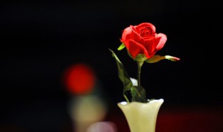 七夕暖心的话 七夕温暖情话