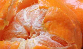 怎么选橘子更甜 如何选购橘子