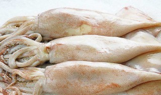 冻过的鱿鱼怎么做 冻过的鱿鱼做法