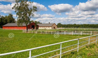 怎么获得更多芭芭农场果树的肥料 获得更多芭芭农场果树的肥料的方法