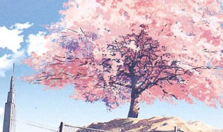 超短一句话打动人心短句 打动人心的说说