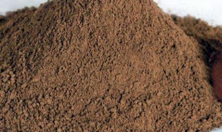 灵芝粉怎么吃好 吃法介绍