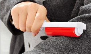 黑衣服粘毛怎么解决 如何解决黑衣服粘毛