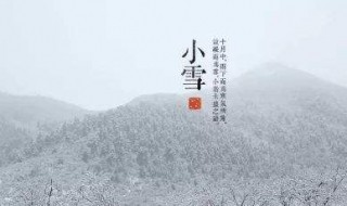 小雪吃什么 吃的食物介绍