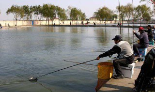 钓青鱼最快的方法 一起来了解一下