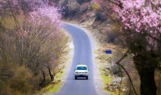 适合春季旅游的地方 适合春季旅游的地方有哪些