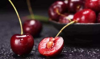 车厘子和樱桃是什么关系蚂蚁庄园 车厘子是樱桃吗?