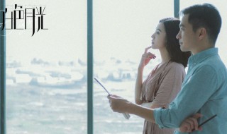 白色月光杨雁目的 白色月光简介