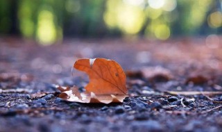 关于秋分的优美句子 有什么写的很好的句子