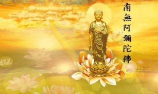 请佛像回家有什么讲究 请佛到家的讲究有那些