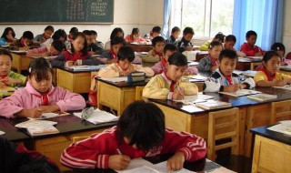 写鸟的作文 有关小鸟的作文范文