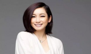 秦海璐主演的电视剧 秦海璐主演的电视剧有哪些