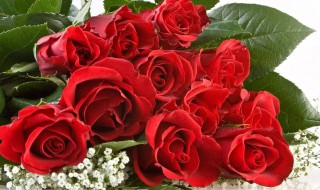 给客户送礼送什么好 给客户送礼推荐