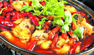 酸辣鱼的做法和步骤 酸辣鱼的做法说明