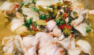 酸菜黑鱼的做法和步骤 酸菜黑鱼的做法和步骤是什么