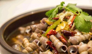 酸菜钉螺的做法 酸菜钉螺的做法是什么