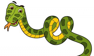 梦见蟒蛇是什么意思 梦见蟒蛇的含义